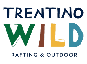 Fundacion Real Madrid Clinic