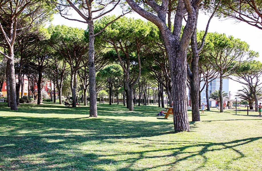 Fundacion Real Madrid Clinic